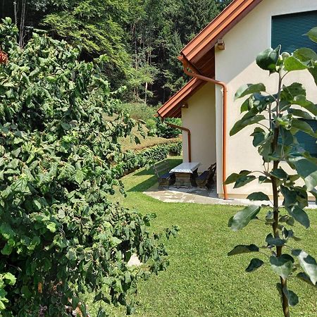 Ferienhaus Manuela Velden am Worthersee Bagian luar foto